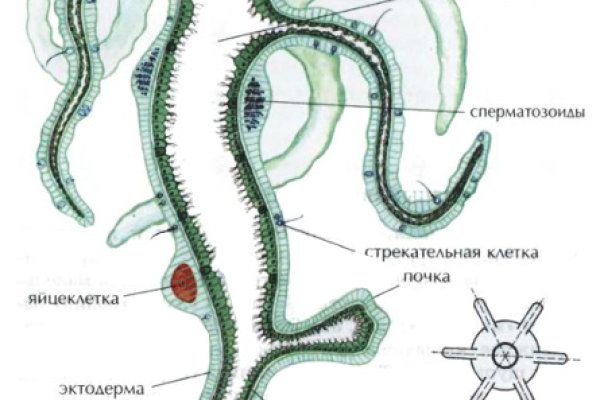 Как попасть на кракен